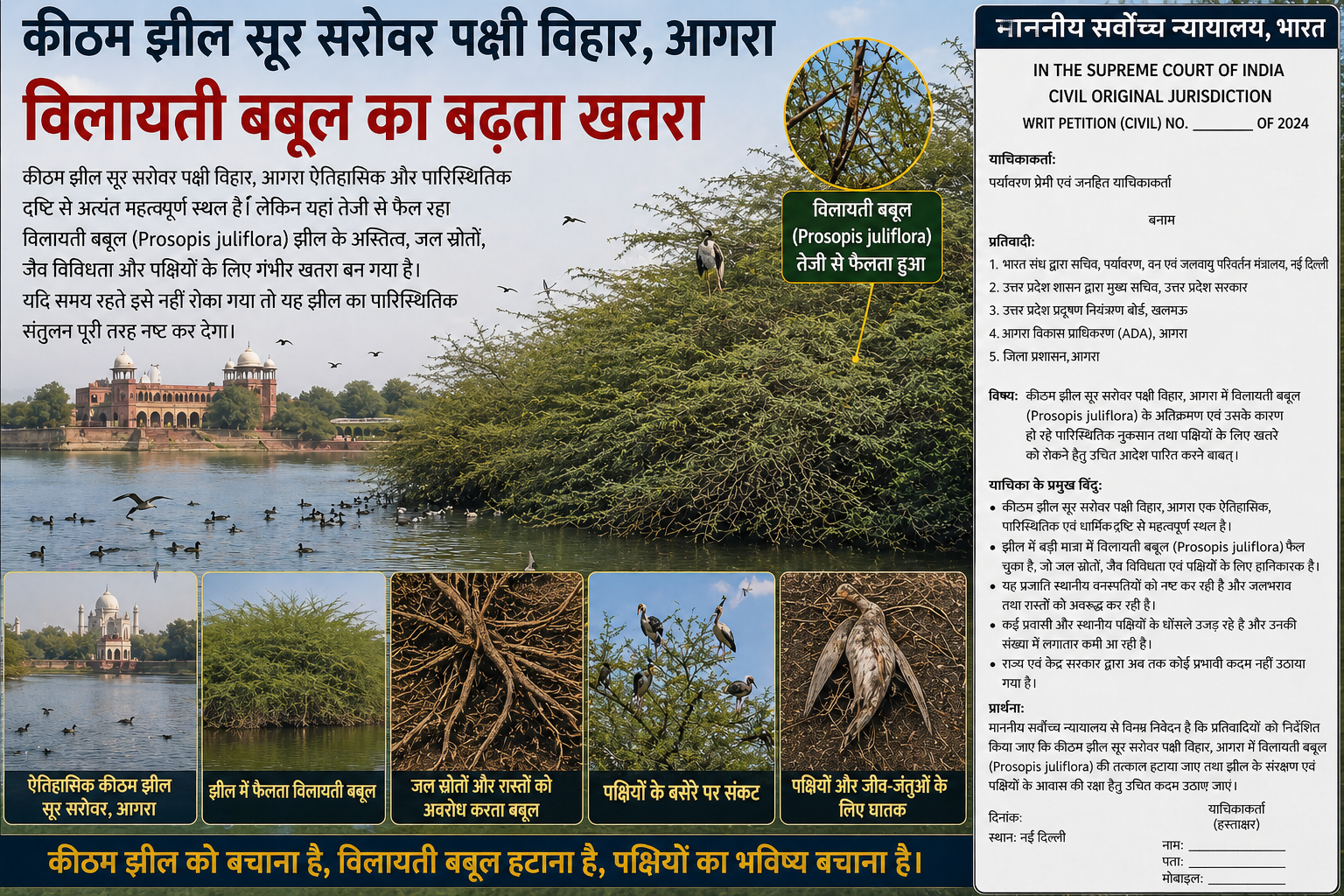 Removal of invasive Prosopis Juliflora (Vilayati Babool) in Soor Sarovar Bird Sanctuary Keetham Lake Agra under Taj Trapezium Zone conservation issue