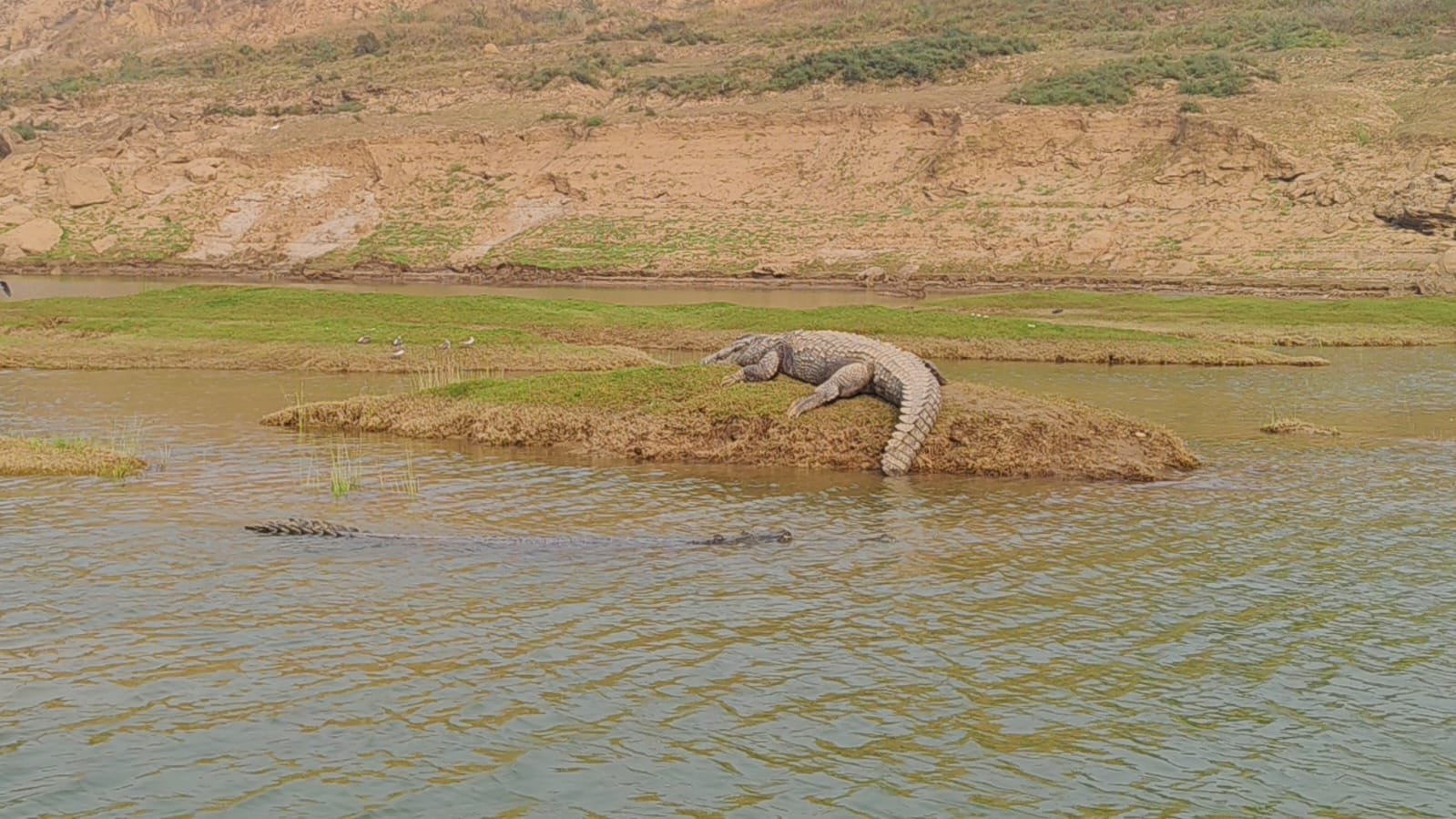Forest officials monitoring Chambal Sanctuary area with drone and patrol teams denying illegal mechanized sand mining claims