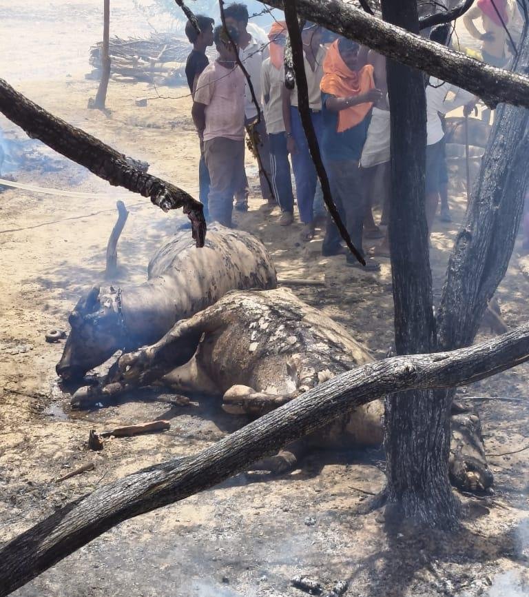 Burnt huts and villagers at the fire incident site in Rihawali village, Fatehabad