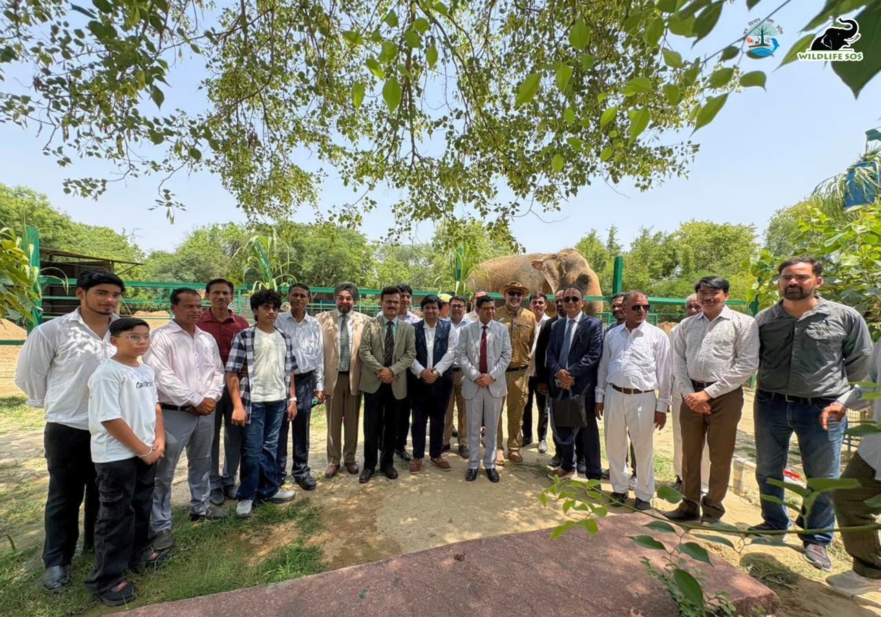 Justice Satyaveer Singh addressing Wildlife SOS workshop on wildlife crime, wildlife trafficking and conservation awareness in Mathura