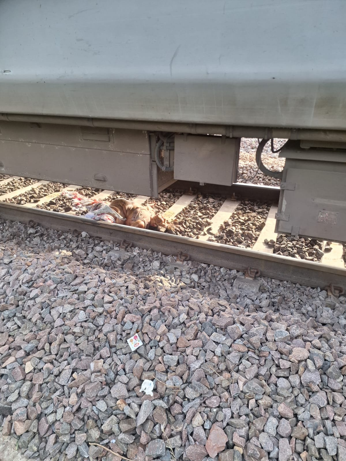Passengers hit by Patalkot Express after getting down from Intercity Express near Dholpur railway section