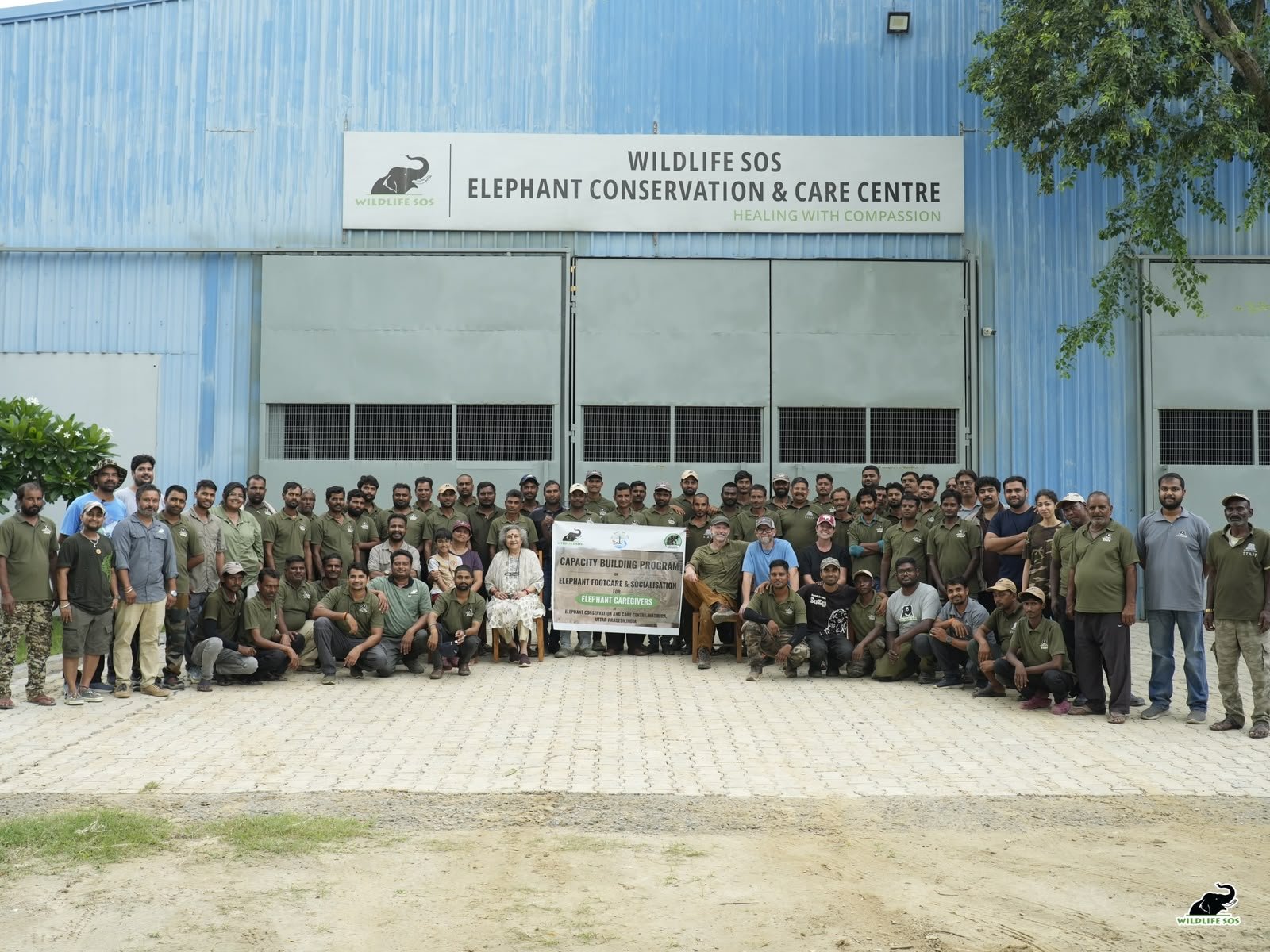 Wildlife SOS rescued elephants receiving expert care and training at Elephant Conservation and Care Centre in Mathura