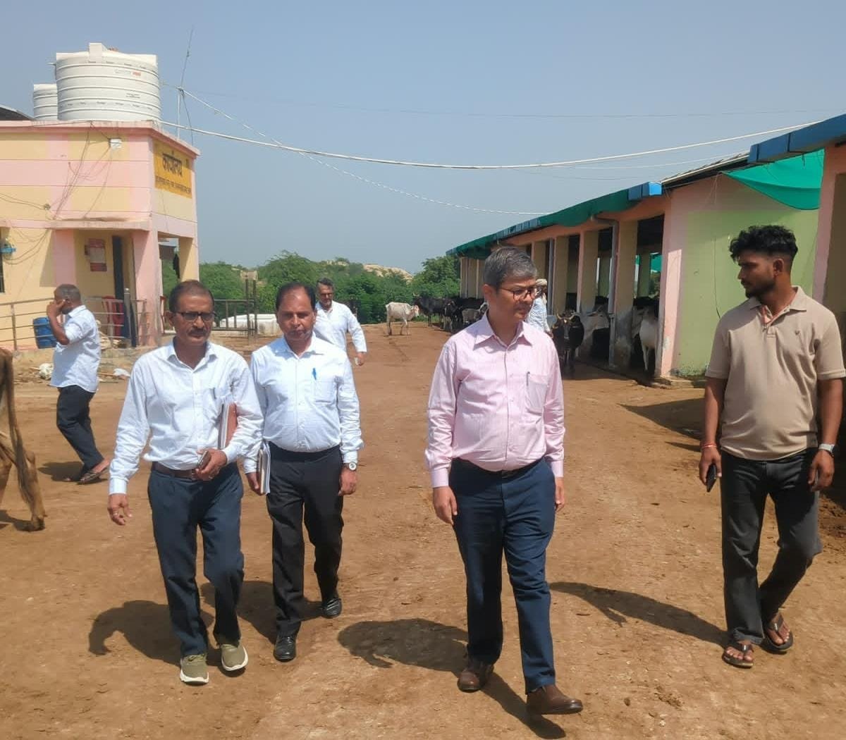 Additional Chief Secretary Mukesh Mishra inspecting gaushalas in Fatehabad