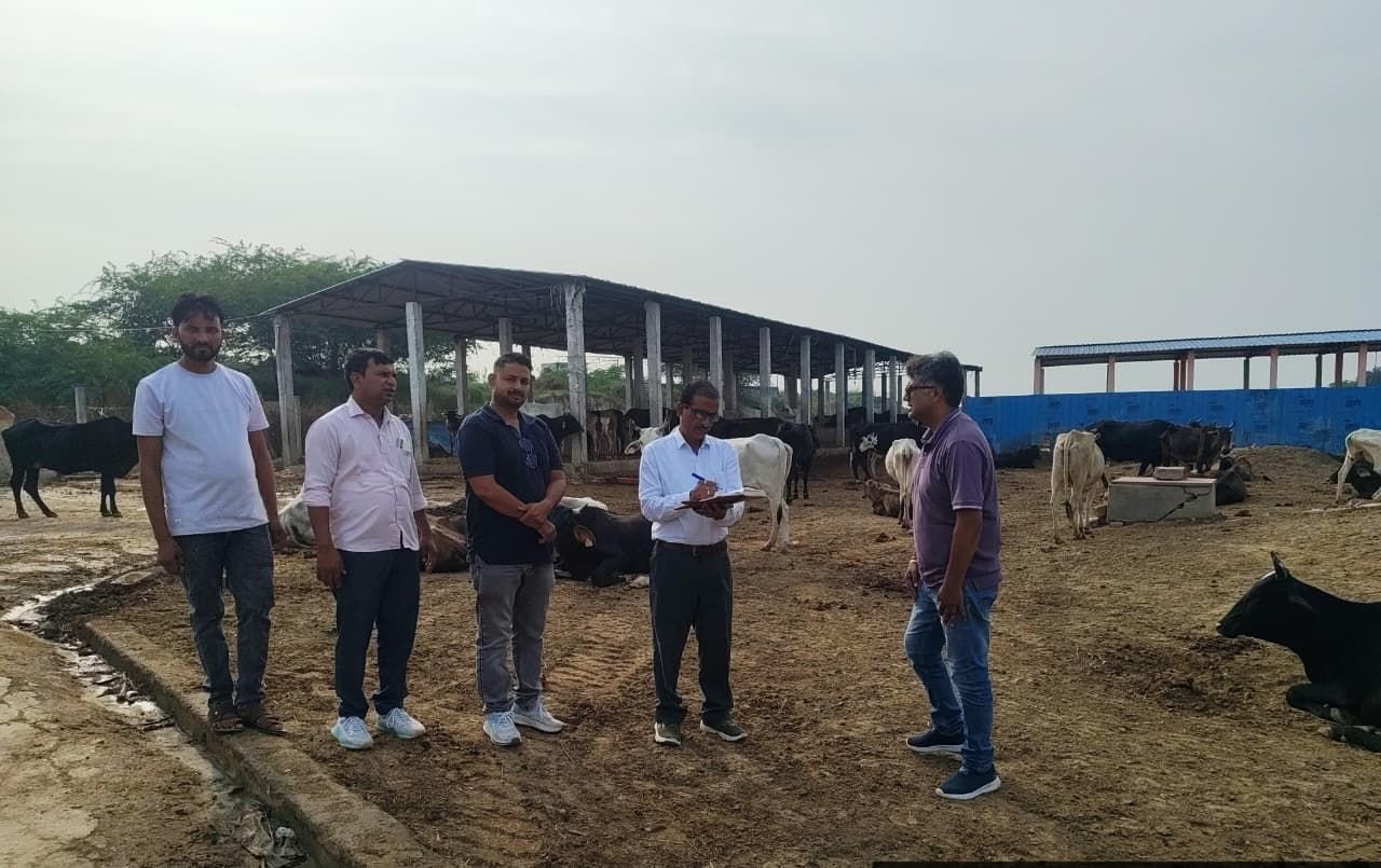 Veterinary team treating animals at a camp in Fatehabad, Agra