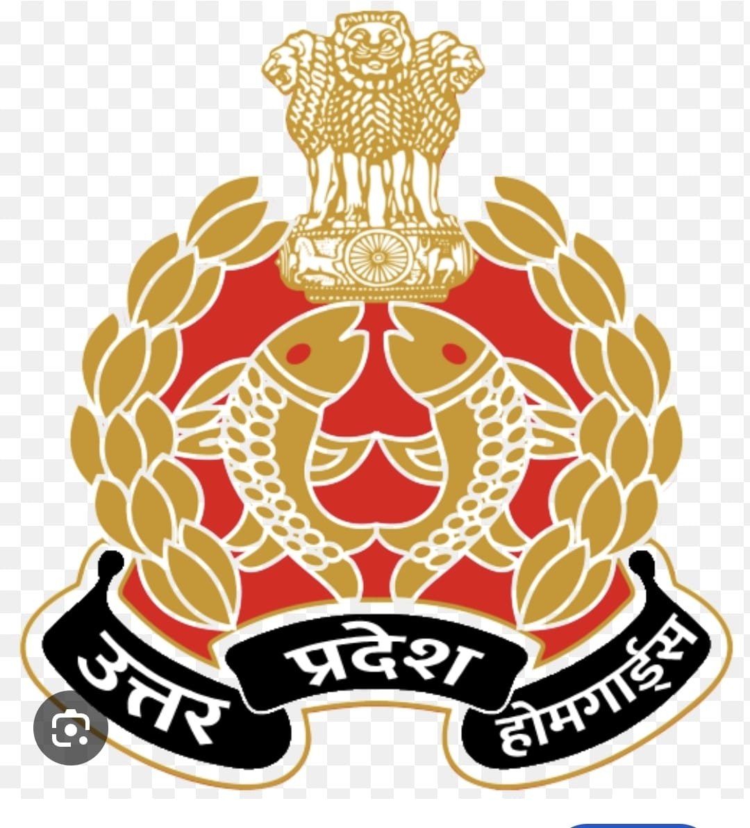 Home Guard recruitment medical examination in Agra, Uttar Pradesh.